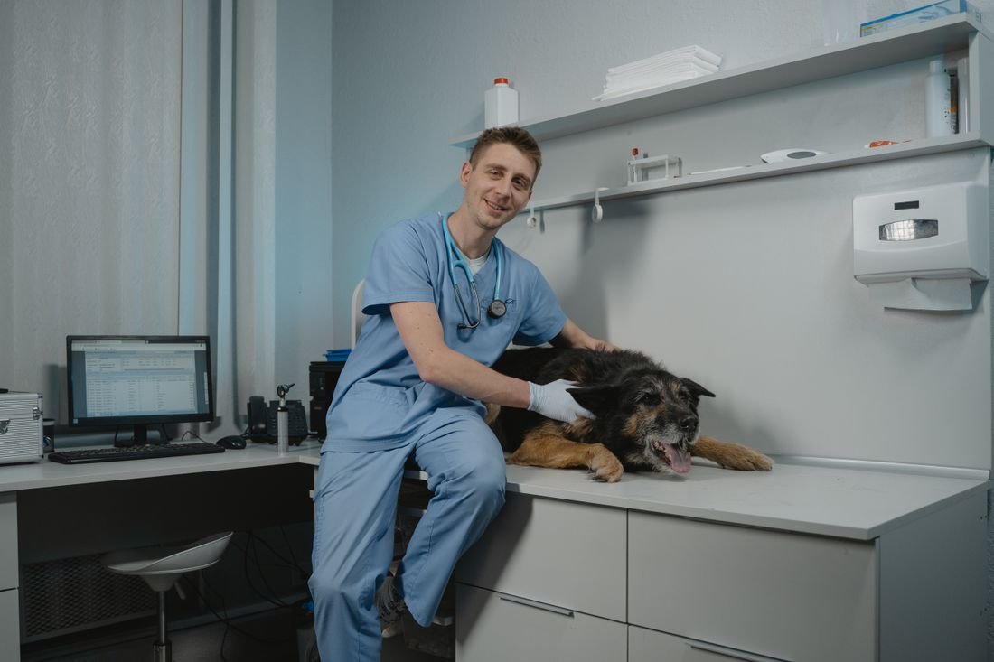 Gülümseyen veteriner hekim ve muayene masasında bir köpek